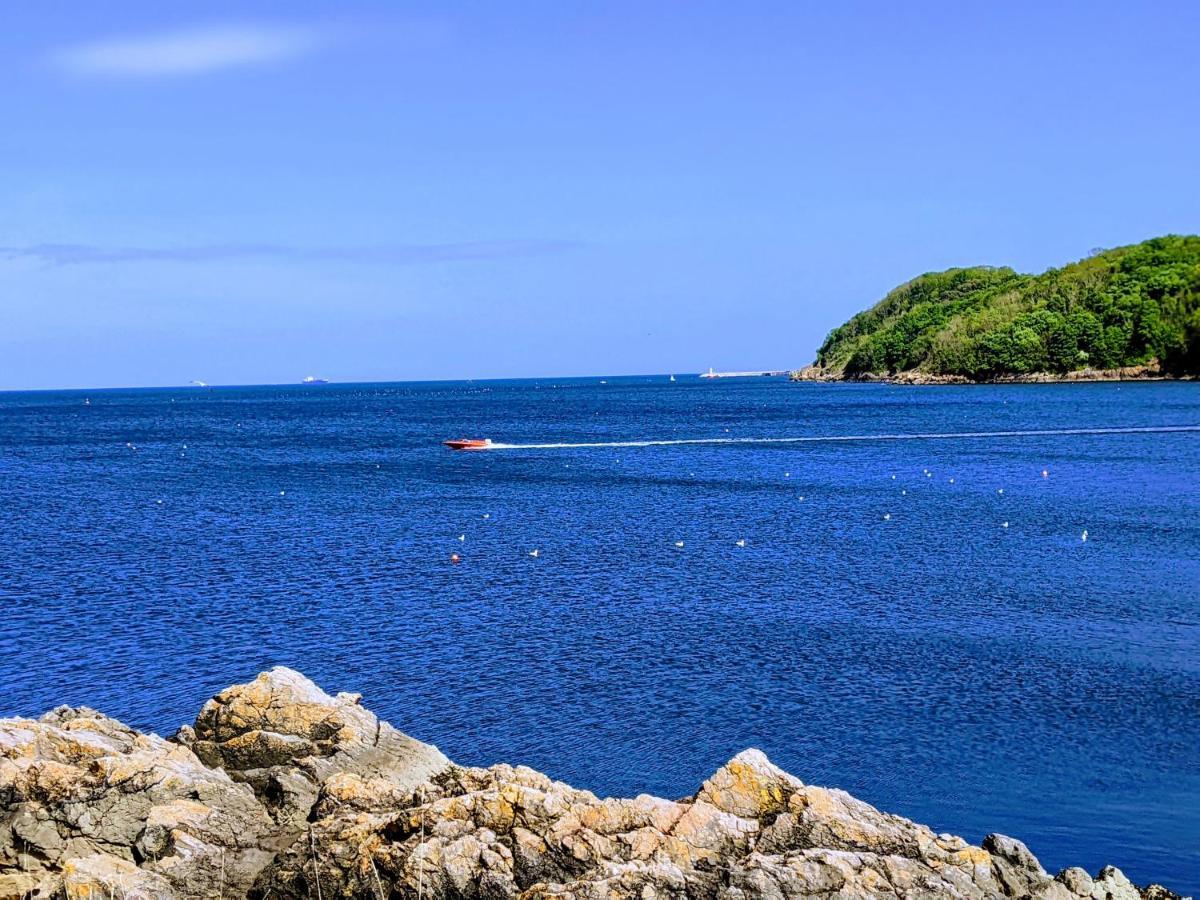 Abingdon House Bed & Breakfast Torquay Dış mekan fotoğraf